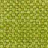 51-Linosa Verde Salvia